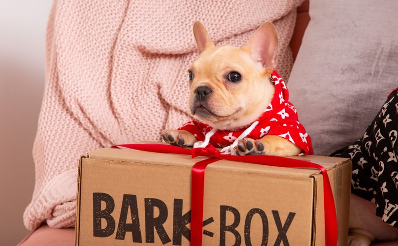 Great Gifts For Dog Lovers